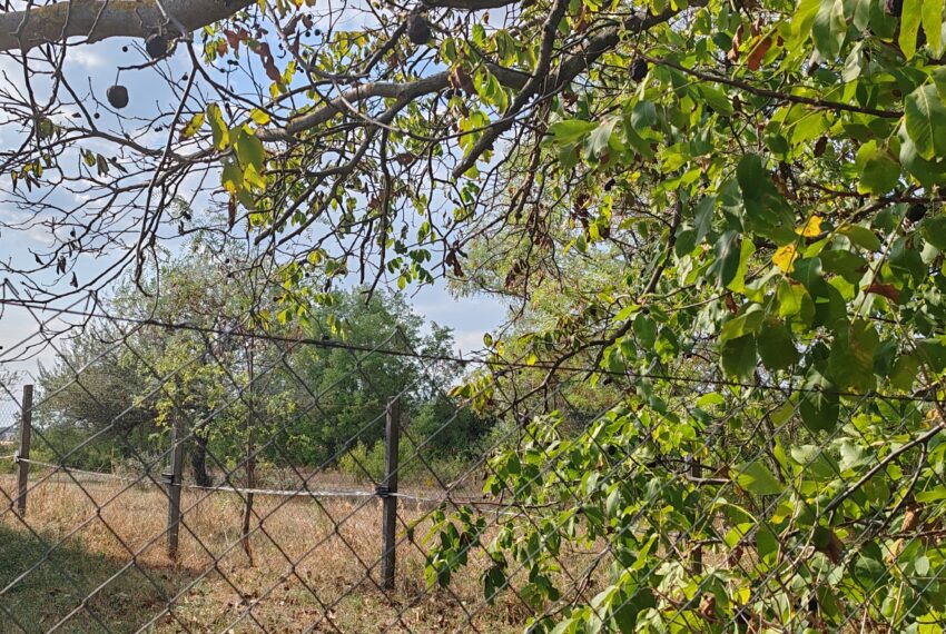 IMG_20240908_154121 (1)